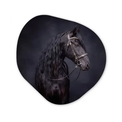 Portret - Paard - Donker Wandcirkel Organisch Aluminium middel -3d