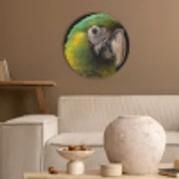 Ara - Portret - Groen Akoestische PET Vilt - Rond klein -sfeer1