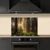 Bos - Gras - Zonlicht keuken achterwand spatscherm klein -sfeer1