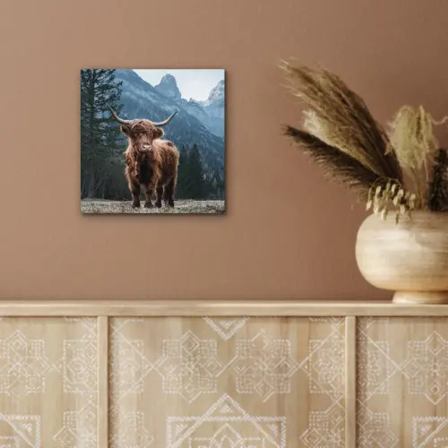 Schotse hooglander - Berg - Landschap - Bomen - Koe - Natuur aluminium wit klein -sfeer4