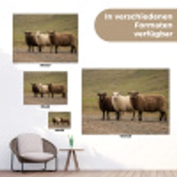 Schapen - Bruin - Wit - Grindpad tuinposter los doek klein -Xsfeer9_DE
