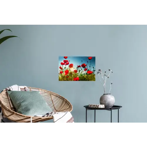 Klaprozen - Toscane - Zon - Rood - Blauw Muursticker klein -plant
