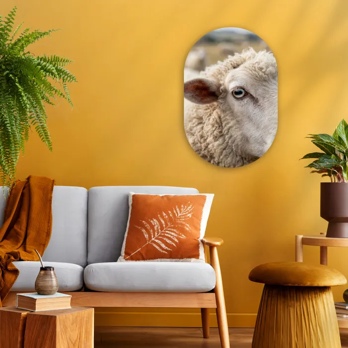 Schaap - Oog - Wit Wandcirkel Ovaal Forex klein -sfeer4