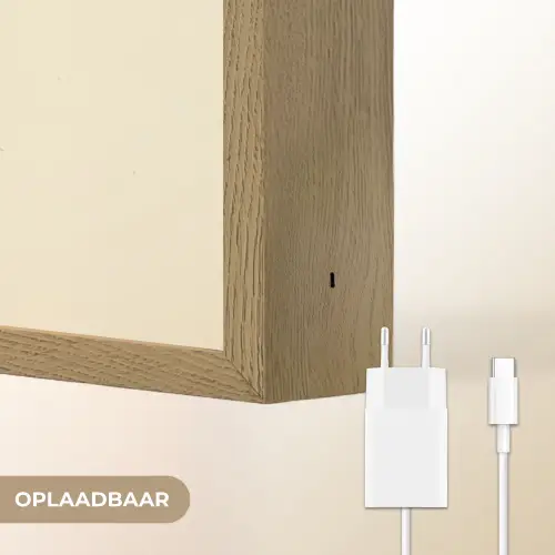 Zeepaardje - Rood - Fijne details Light Box met batterij (Wandlamp) middel -USP_websiteoplaadbaarNL