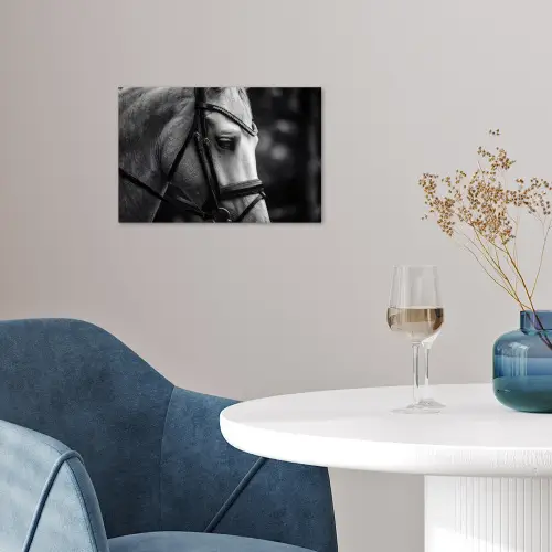 Paard - Schimmel - Portret poster papier klein -sfeer3