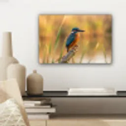 IJsvogel - Tak - Water - Kleurrijk - Levendig canvas 2cm klein -sfeer6