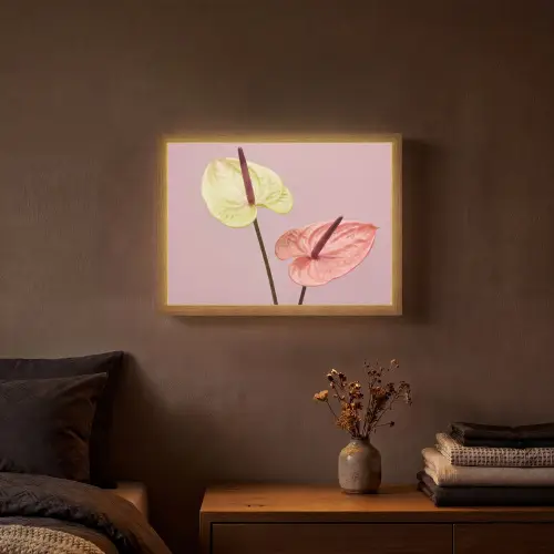 Bloemen - Anthuriums - Geel - Roze Light Box met batterij (Wandlamp) middel -sfeer4