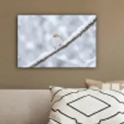 Vogeltje - Sneeuw - Tak - Winter - Zacht canvas 2cm klein -sfeer3