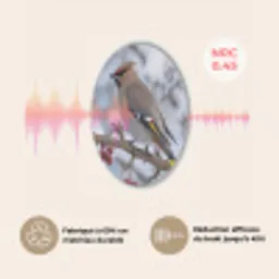 Pestvogel - Bessen - Winter - Natuur Akoestische PET Vilt - Rond klein -USP_FR