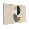 Cirkels - Abstract - Kleurrijk canvas 2cm klein -z3d
