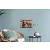 Street art - Zebra - Vrouw - Dieren - Graffiti - Banksy Muursticker klein -plant