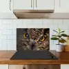 Uil - Dier - Oranje keuken achterwand spatscherm klein -sfeer2