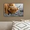 Schotse Hooglander - Dieren - Bruin - Koe - Zwart - Wit - Natuur canvas 2cm klein -sfeer3