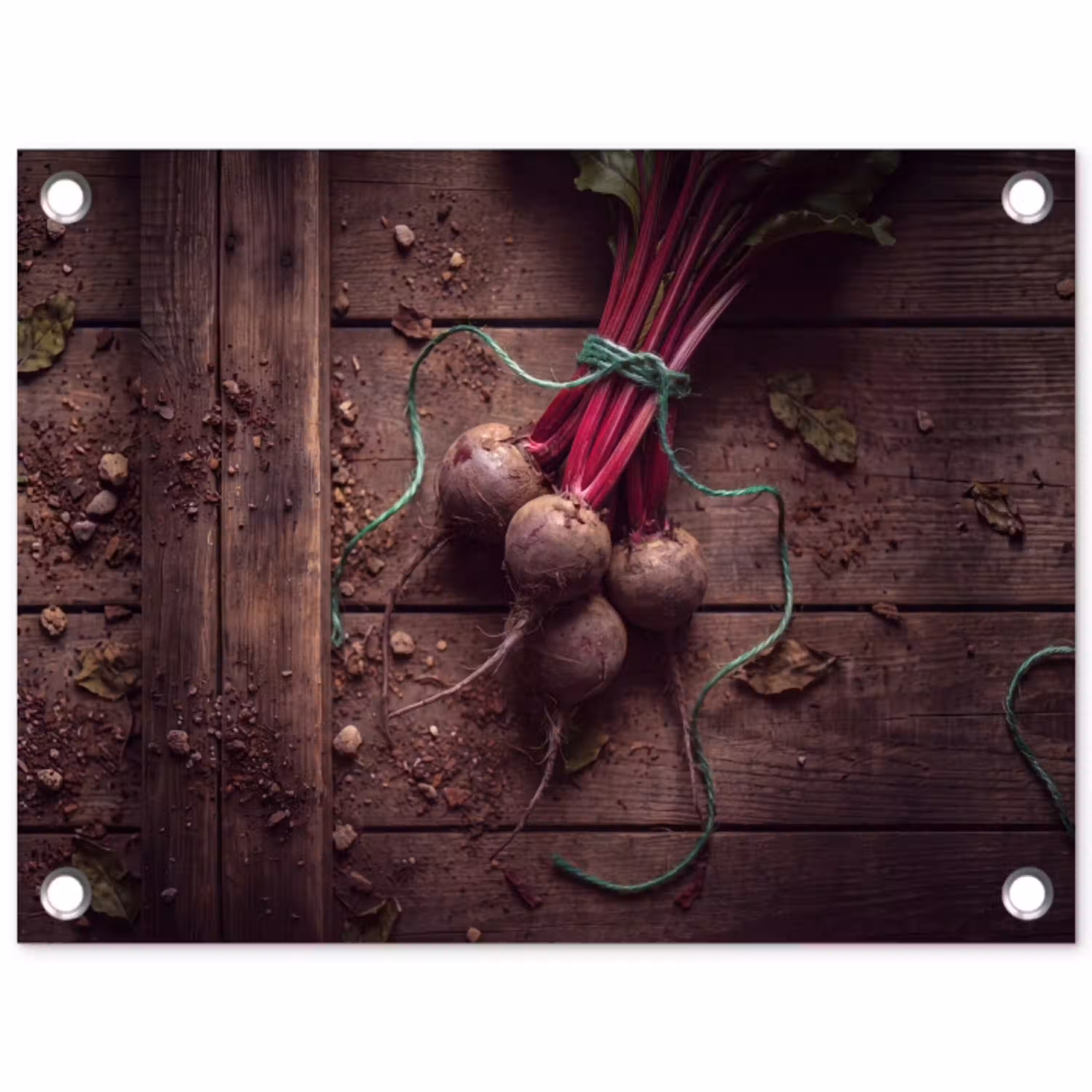 Groente - Bieten - Rustiek tuinposter los doek klein -3d