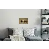 Schapen - Bruin - Wit - Grindpad Muursticker klein -slaapkamer