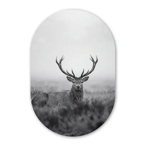 Hert - Mistig - Zwart - Wit Wandcirkel Ovaal Forex klein -3d