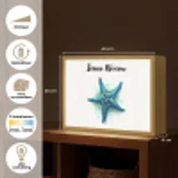 Zeester - Blauw - Spetters Light Box met batterij (Wandlamp kind) middel -USP_websiteoverzichtNL