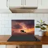 Olifanten - Grasland - Zonsondergang keuken achterwand spatscherm klein -sfeer2