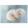 Paardenbloemen - Pluisjes - Wit poster papier klein -3d
