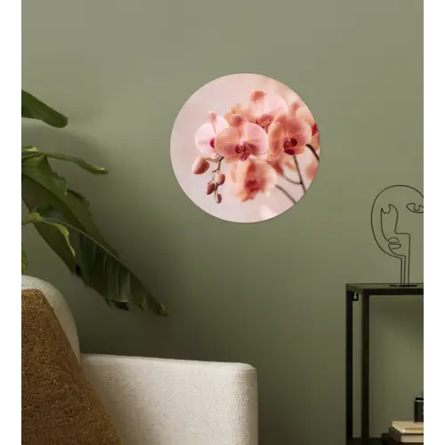 Orchidee - Bloemen - Roze - Bloemblaadjes Wandcirkel behangsticker klein -sfeer2
