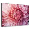 Dahlia - Bloem - Close up - Roze Textielframe zwart klein -3d