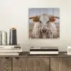 Longhorn - Grasveld - Dier plexiglas 5mm klein -sfeer1