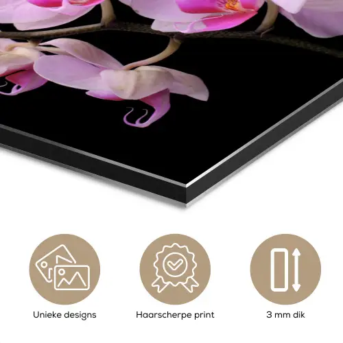 Orchidee - Bloemen - Roze - Flora aluminium wit klein -closeup_NL