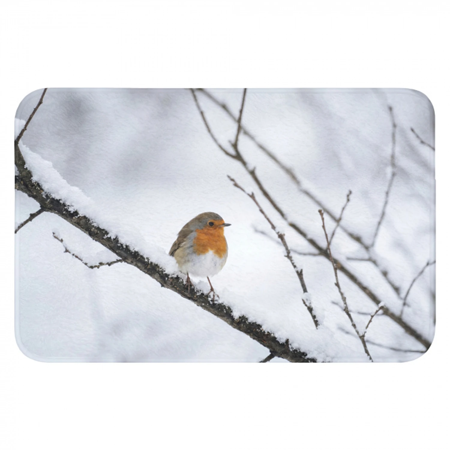 Roodborstje - Tak - Sneeuw - Winter - Levendig Badmat klein -3d