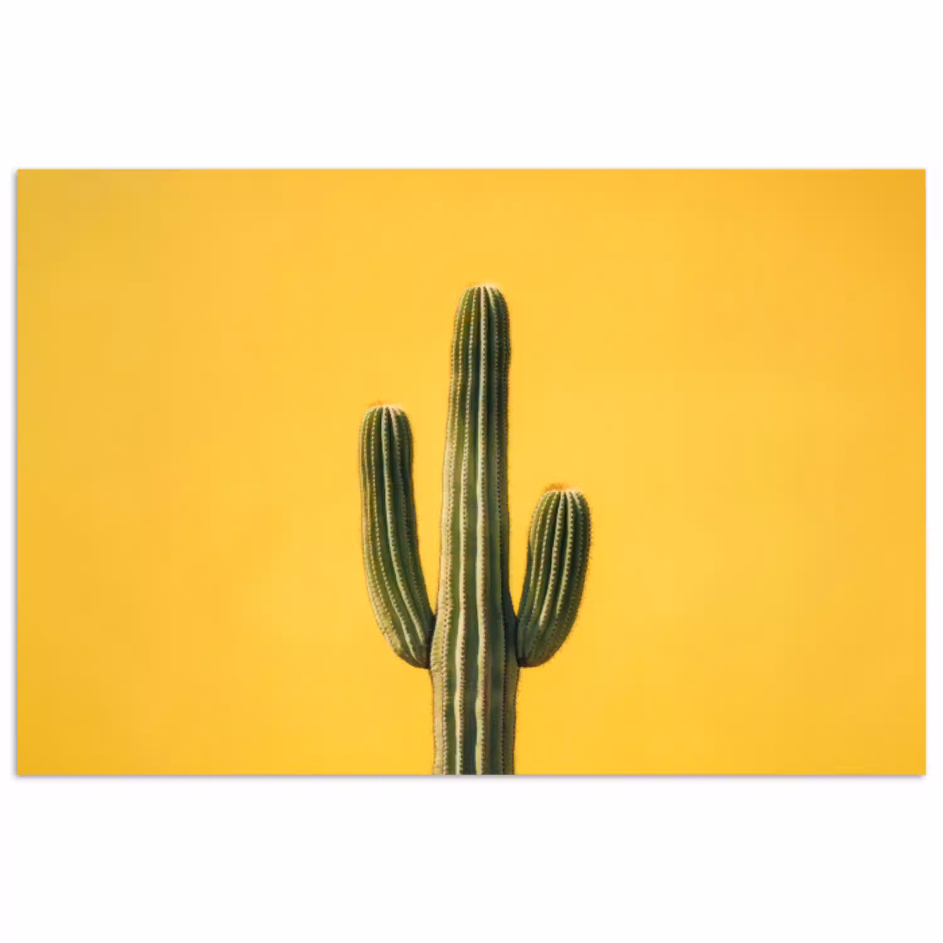 Cactus - Groen - Minimalistisch poster papier klein -3d