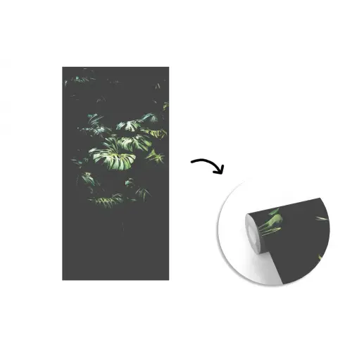 Plant - Monstera - Lichtinval fotobehang vinyl groot -3d