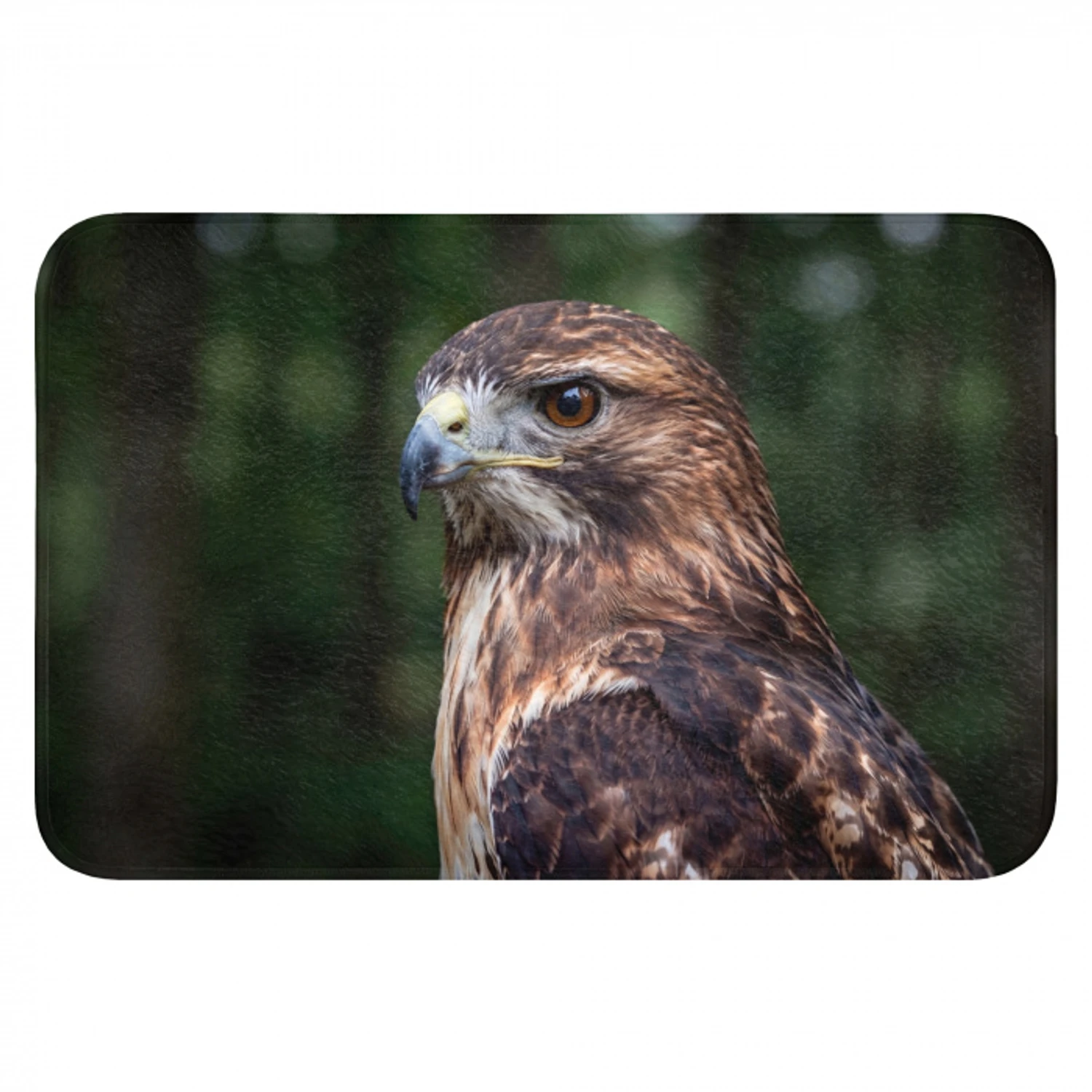 Buizerd - Roofvogel - Natuur - Bruin Badmat klein -3d