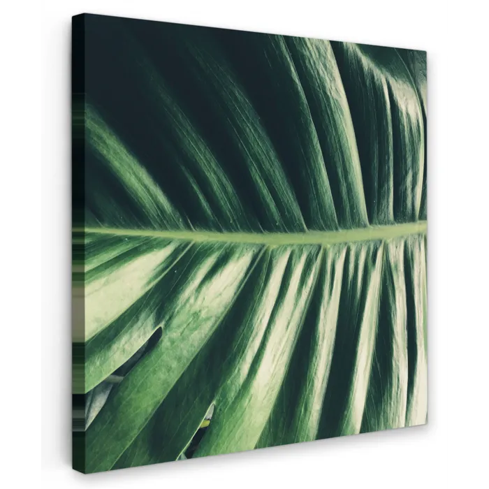 Tropisch - Inductie mat - Natuur - Inductie beschermer - Jungle Tuinposter op houten frame 2 cm dik klein -3d