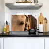 Paard - Oog - Bruin Inductie beschemer met haakjes klein -sfeer2