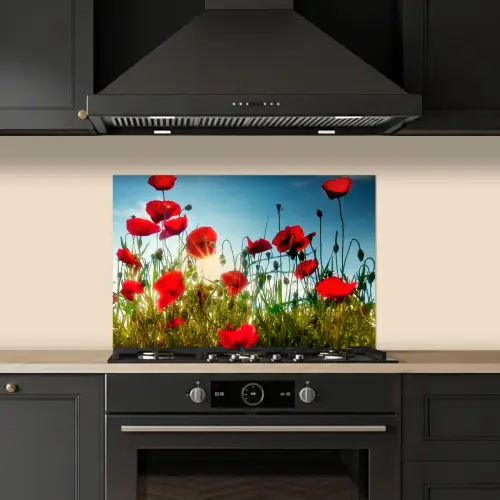 Klaprozen - Toscane - Zon - Rood - Blauw keuken achterwand spatscherm klein -sfeer1