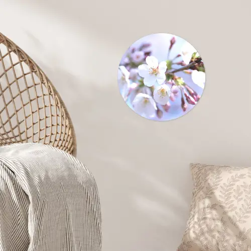 Bloemen - Sakura - Tak - Bloesem takken Wandcirkel behangsticker klein -sfeer4
