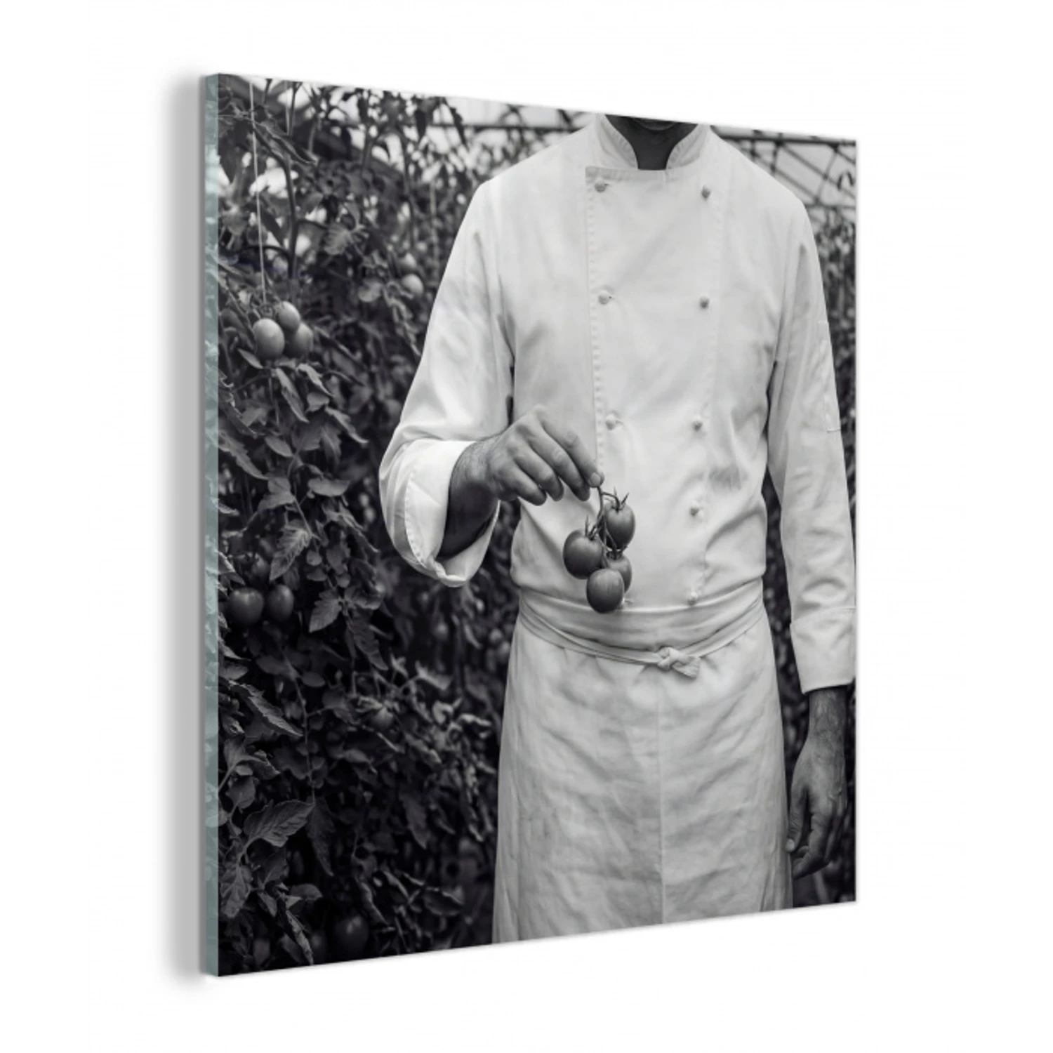 Tomaten - Chef - Zwart - Wit plexiglas 5mm klein -z3d