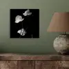 Orchidee - Bloemen - Zwart - Wit - Stilleven aluminium wit klein -sfeer2