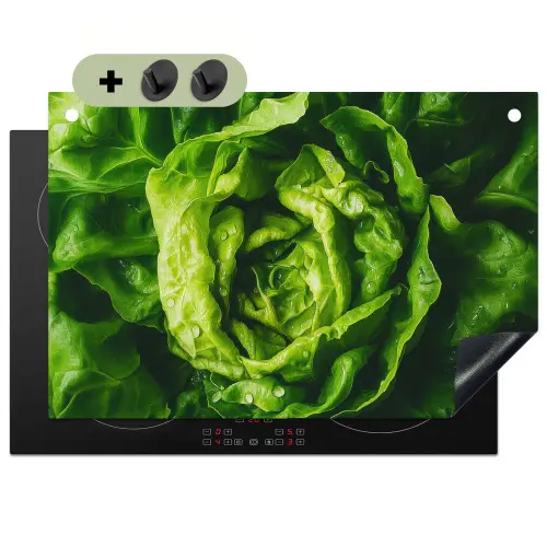 Groente - Sla - Groen Inductie beschemer met haakjes klein -3d