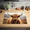 Schotse hooglander - Landschap - Dier Inductie beschermer vinyl 3mm klein -sfeer5