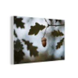 Eikel - Eikenblad - Bos - Herfst - Natuur forex 5mm xxl -3d