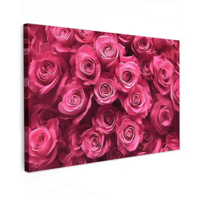 Rozen - Pink - Bloem canvas 2cm klein -z3d