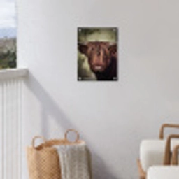 Majestueuze Hooglander in het Donker tuinposter los doek klein -sfeer8