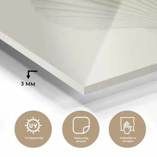 Schelp - Minimalistisch - Wit plexiglas 5mm klein -sfeer2