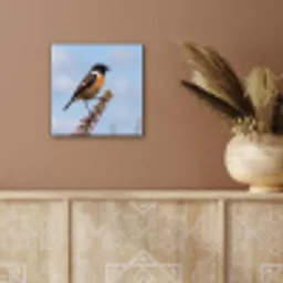 Roodborsttapuit - Heide - Paars - Natuur - Sfeervol aluminium wit klein -sfeer4