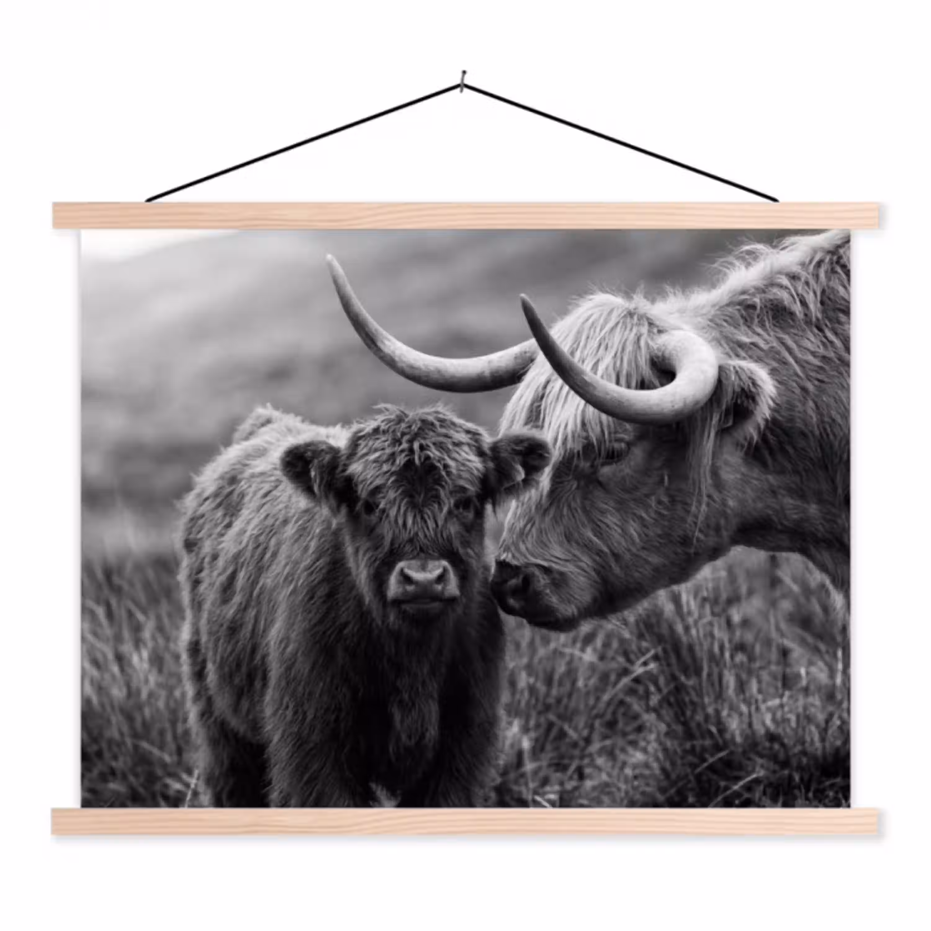 Schotse hooglander - Kalf - Zwart - Wit textielposter latten blank klein -3d
