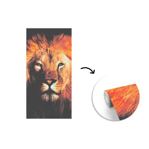 Leeuw - Dieren - Zwart - Licht - Bruin - Portret fotobehang vinyl groot -3d