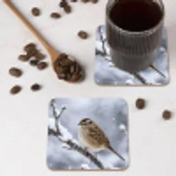 Vogel - Tak - Sneeuw - Winter onderzetter kurk middel -sfeer2