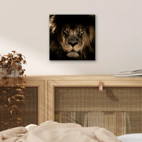 Leeuw - Dieren - Zwart - Portret aluminium wit klein -sfeer3