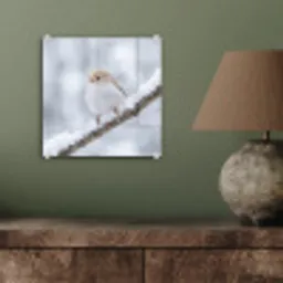 Vogeltje - Sneeuw - Tak - Winter - Zacht plexiglas 5mm klein -sfeer3