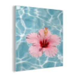 Hibiscus - Water - Roze plexiglas 5mm klein -z3d